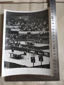 新闻照片：乒乓球赛场（尺寸：20.5X15CM）