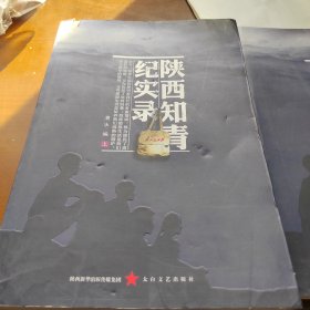 陕西知青纪实录上下