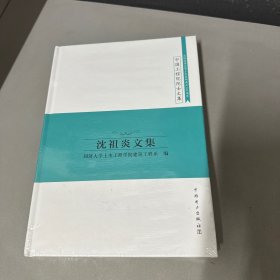 中国工程院院士文集：沈祖炎文集