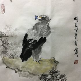 画家乍启典 写意花鸟《侧目望青云》