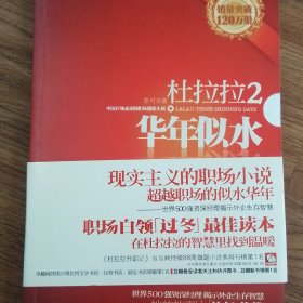 杜拉拉2：华年似水：《杜拉拉升职记》第二部