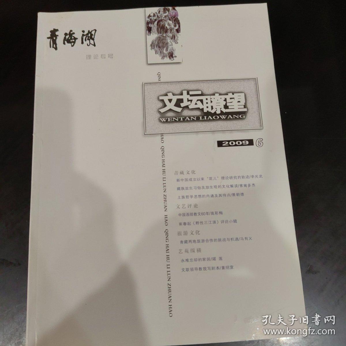 青海湖文学月刊理论专号  2009.6 总第75期