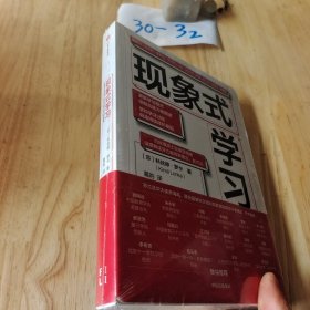 现象式学习（不培训、不内卷、不鸡娃、不焦虑！成绩优秀，又快快乐乐的秘密，因为他们这样学习！）