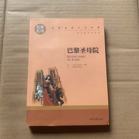 巴黎圣母院 名家名译世界经典文学名著 原汁源味读原著