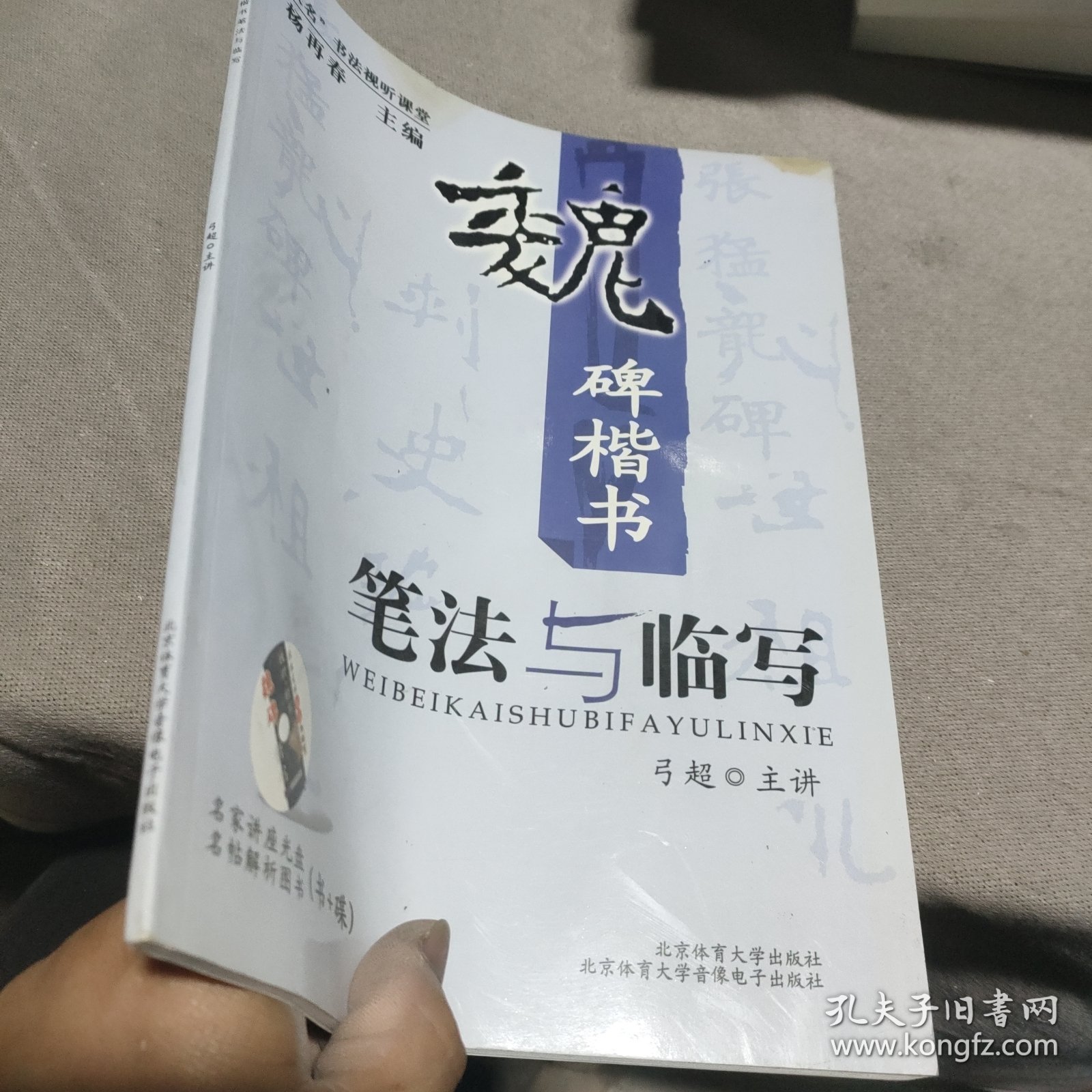 “双名”书法视听课堂：魏碑楷书笔法与临写-(弓超主讲；名帖解析图书；《张猛龙碑》折页小全张)