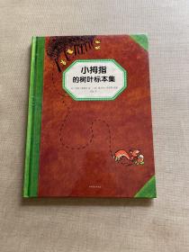 小拇指的树叶标本集