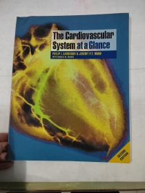 心血管系统一览 The Cardiovascular System at a Glance