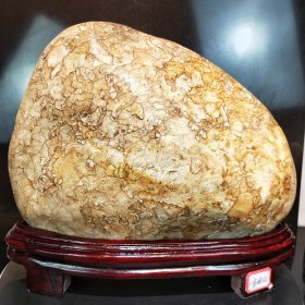 金海石，造型独特，纹理清晰，图案精美 金海石 金海石是北京地区三大观赏石之一；是北京东北部山区峡谷河底中的卵石；因最早发现于平谷区金海湖而得名。
