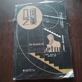几何之美 北大清华浙大老师力荐的几何思维书 几何解题书