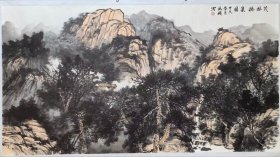 【终身保真字画】段铁。六尺整张作品有，合影视频180X96 ​中国美术家协会理事