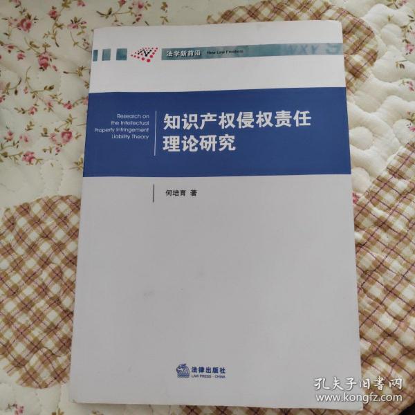 知识产权侵权责任理论研究