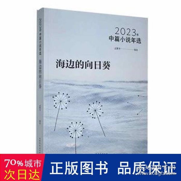 海边的向日葵：：2023年中篇小说年选