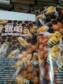 博物2022年06月号