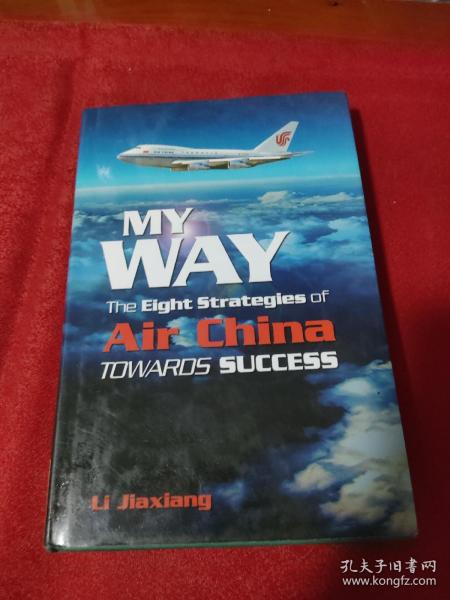 MyWay:TheEightStrategiesofAirChinaTowardsSuccess