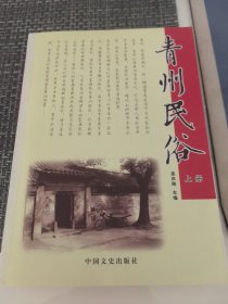 青州民俗 上册