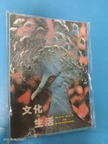 文化与生活1980年第4期