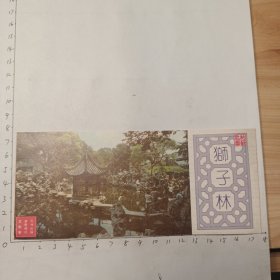 狮子里林