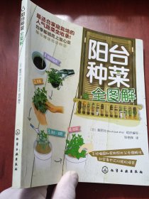 阳台种菜全图解