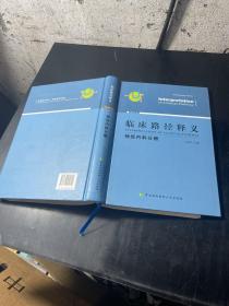 临床路径释义：神经内科分册