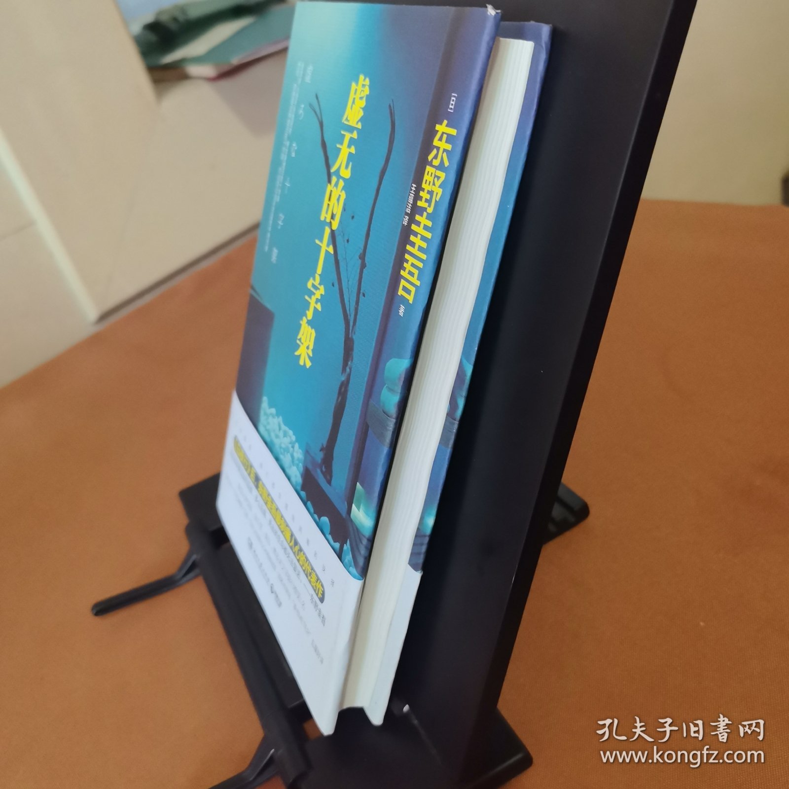 虚无的十字架