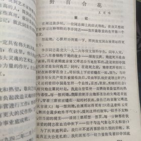 骂人的艺术：中国现代文学史参考资料 新月派文学作品专辑