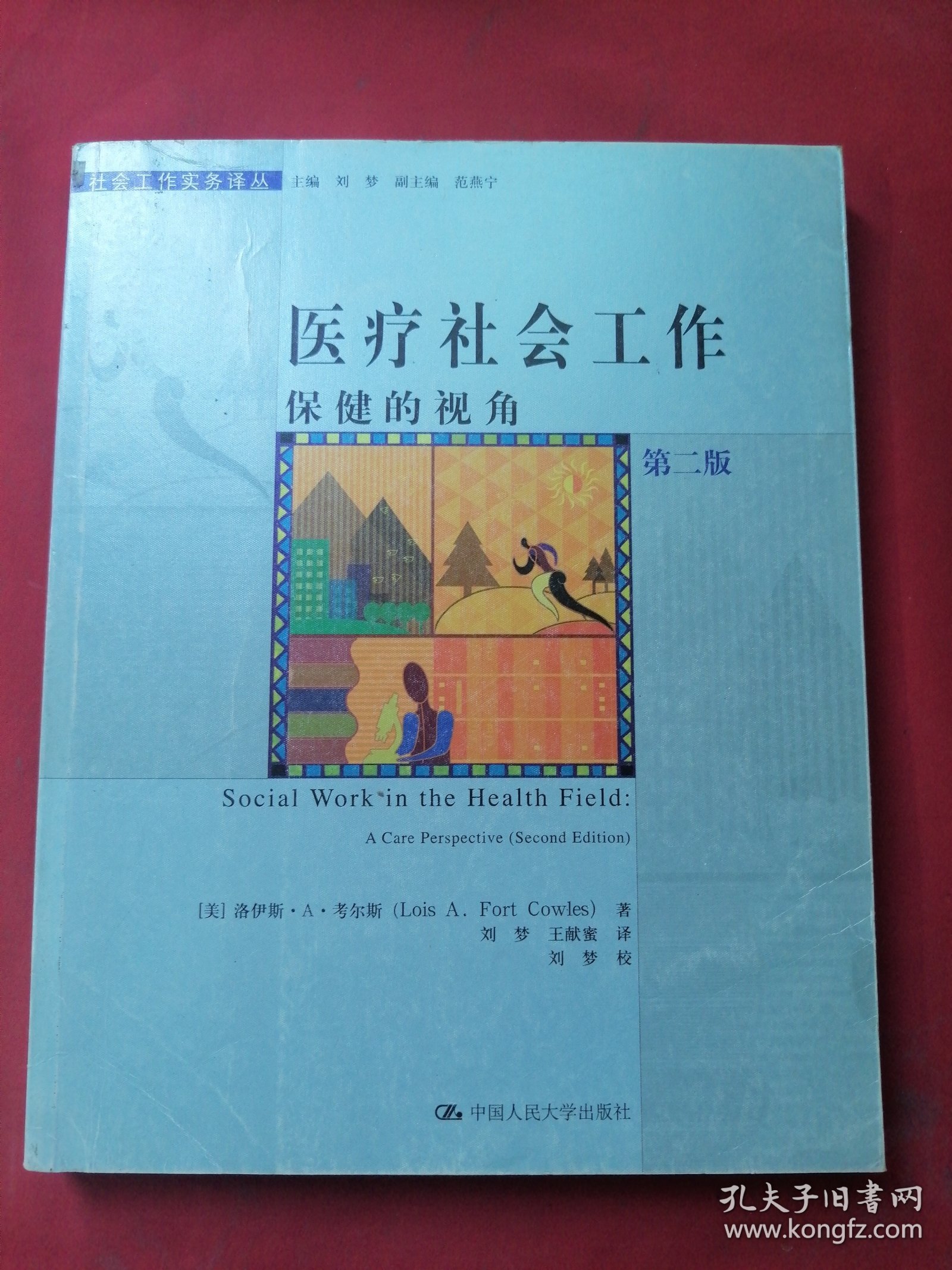 医疗社会工作：保健的视角（第2版）