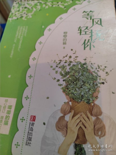 等风轻抚你（上下）原名等风热吻你她的小梨涡作者唧唧的猫新作