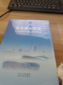 党支部工作北京市党支部工作案例选编 党史党建读物 本书编委会 新华正版