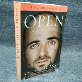 Open: An Autobiography[阿加西自传]