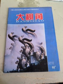 大视角（ 1995年 试刊号