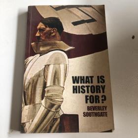 WHAT IS HISTORY FOR？