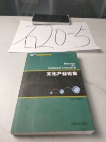 文化產(chǎn)業(yè)論集