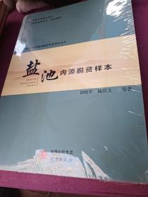 新时代中国县域脱贫攻坚研究丛书——盐池：内源脱贫样本