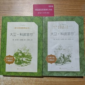 大卫·科波菲尔（上下） 套装