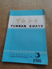 云南茶叶1980年第3期（前面有2张缺页）