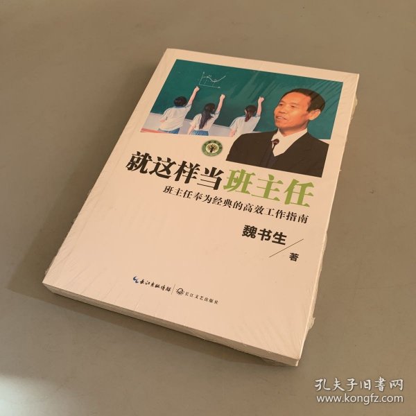 就这样当班主任（大教育书系）