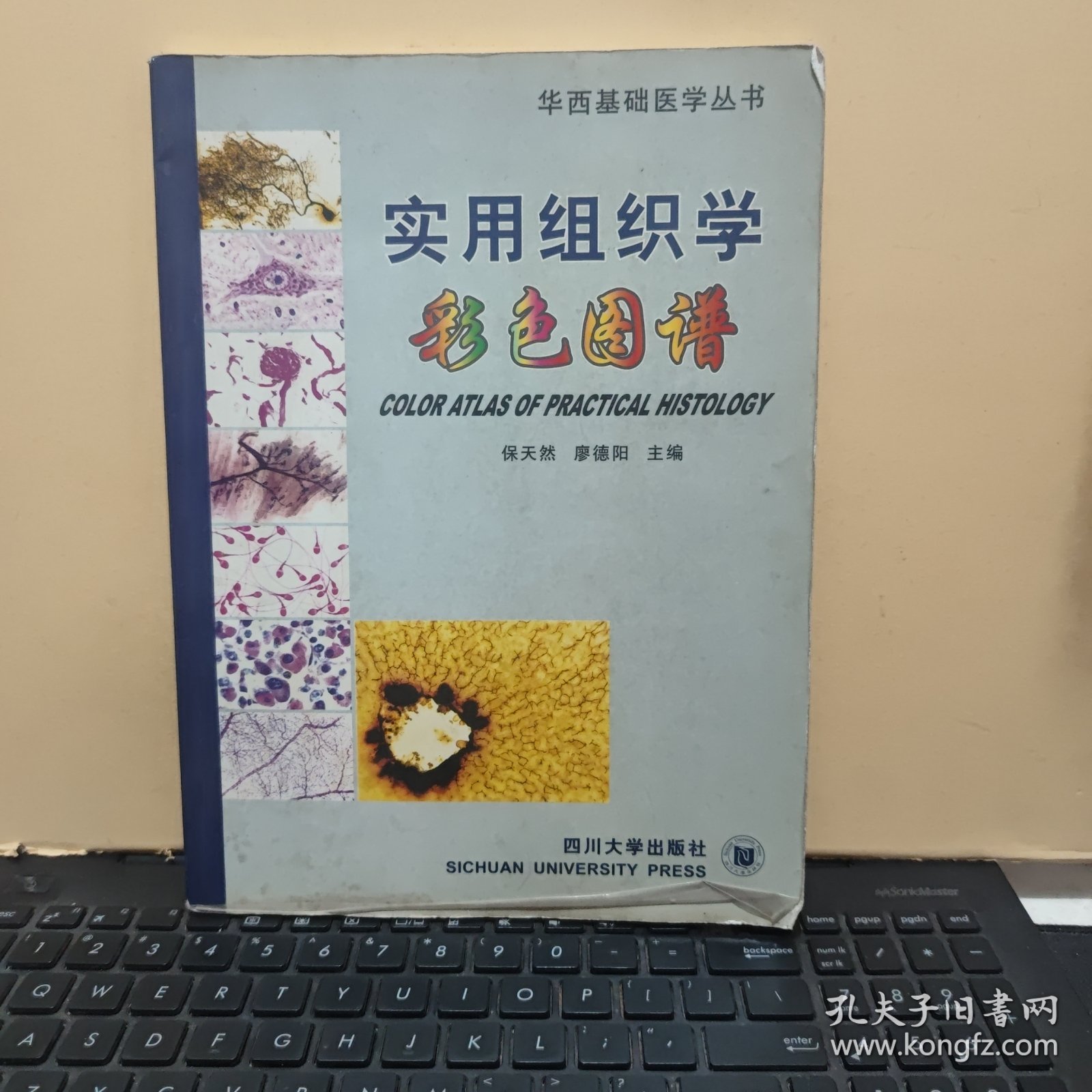 实用组织学彩色图谱（原书实物拍的照片，铜版纸印刷，内页干净无笔记，详细参照书影）客厅2-2