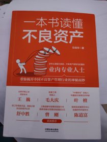 一本书读懂不良资产（王巍、毛大庆、叶檀、舒中胜、曾刚、陈道富联合推荐）