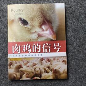 肉鸡的信号