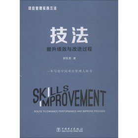 项目管理实践三法 技法 提升绩效与改进过程