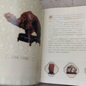 奇石 中国艺术品收藏鉴赏全集：典藏版