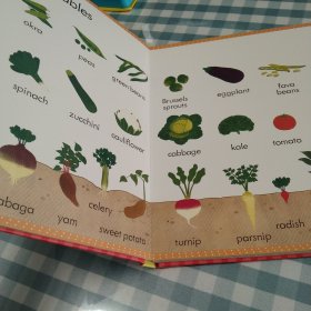 My First Word BooK About Food