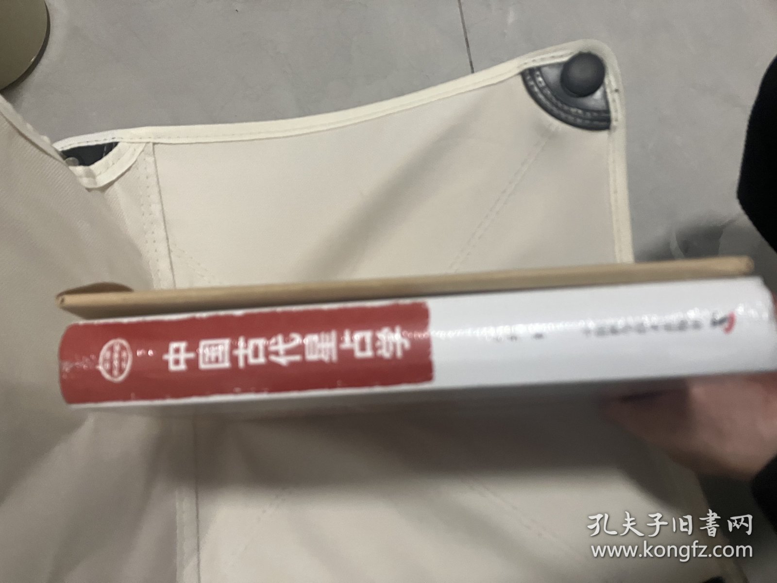 中国古代星占学+配套星图