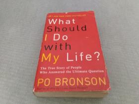 What Should I Do with My Life?：The True Story of People Who Answered the Ultimate Question