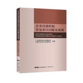 企业控制常见审计问题及案例 管理理论 作者 新华正版