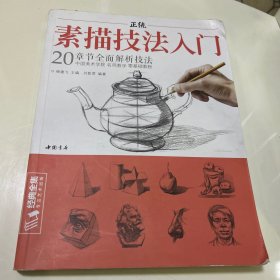 正统素描技法入门/经典全集系列丛书