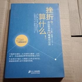 挫折？算什么！-冲出低谷的18则成功心法