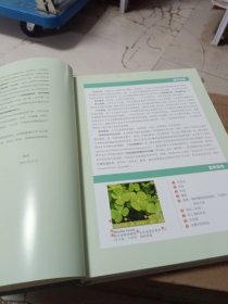 上海植物图鉴·草本卷