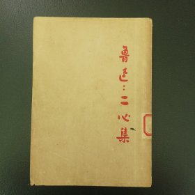 新文学:二心集