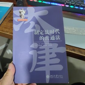 制定法时代的普通法